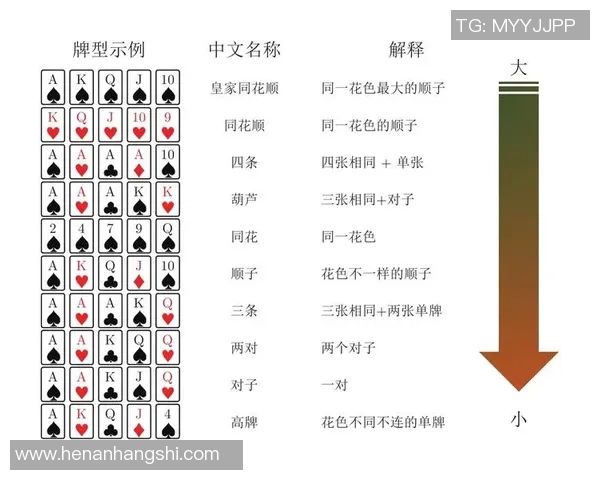 独家解析：JDG战术体系与对手策略的深度对比分析